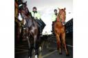 HORSEBACK DETERRENT: Mounted police have joined the fight against crime in Leyton and Leytonstone (P5W5988) 