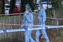 Forensics at Stanmore after a fatal stabbing