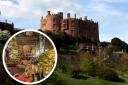 Are you planning a visit to Powis Castle and Gardens this festive season?