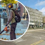 Harrow Green Party urged Harrow Council to ban petrol leaf blowers used by its staff, contractors and affiliates in public spaces. Photos: Newsquest/Pixabay