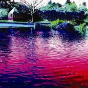 Park Life, Ripples on the Pond by Ann Kopka