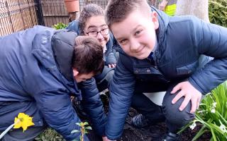 Pupils planting trees at Mary Magdalen's School  in Willesden